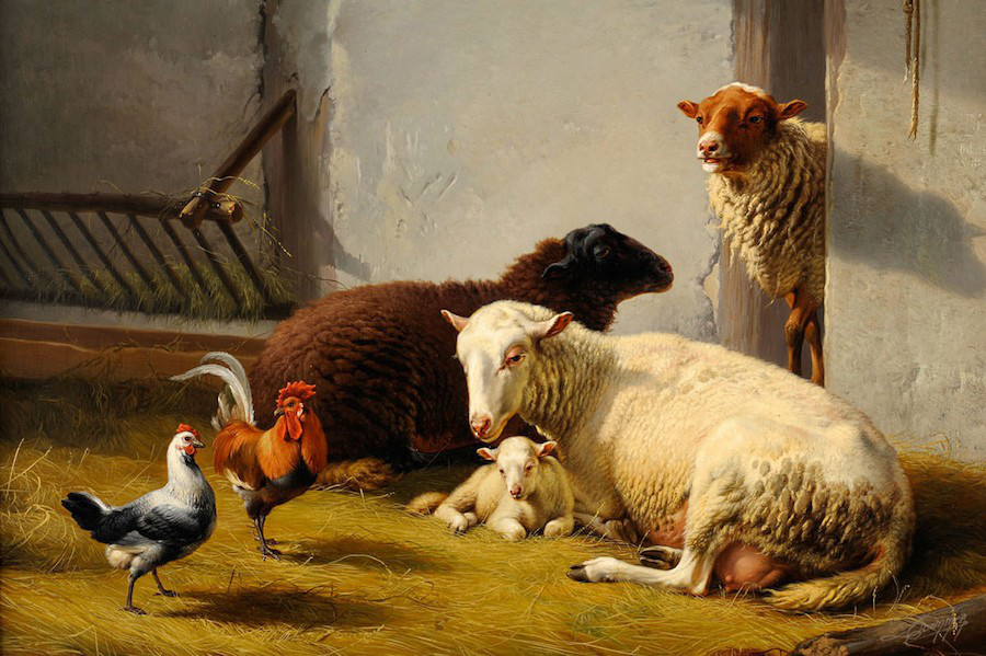 Moutons dans la bergerie oeuvre de Daniel Trammer